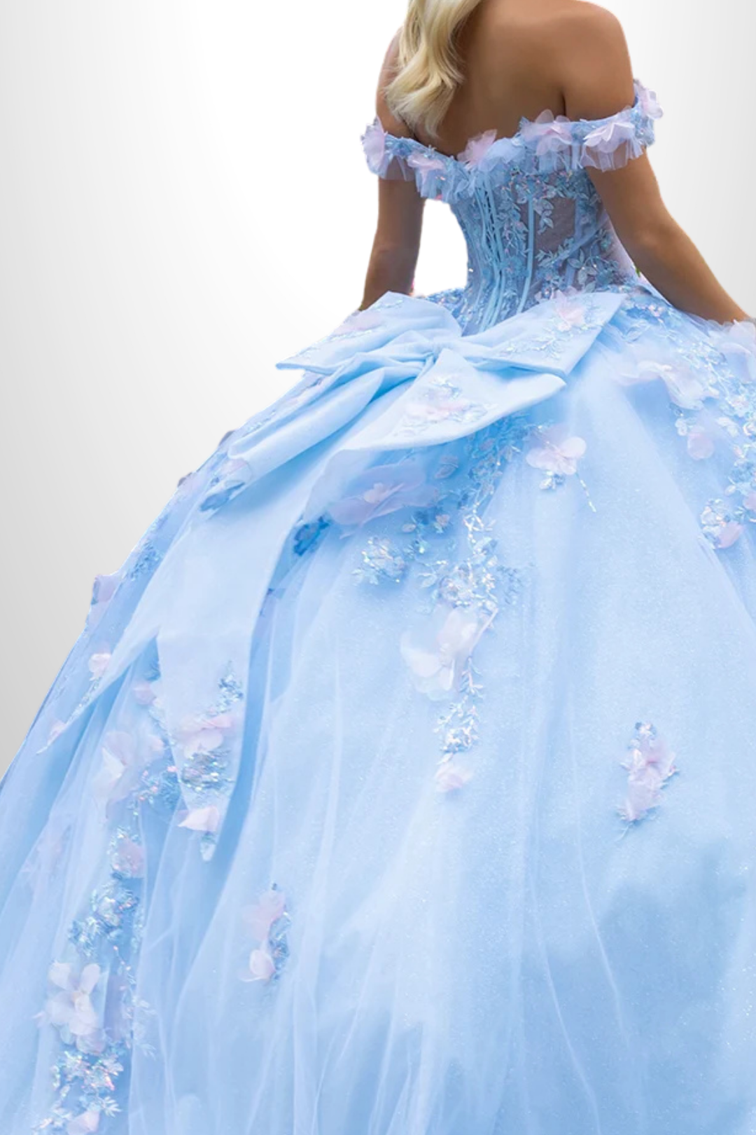 Enchanted Light Blue Floral Quince Ball Gown